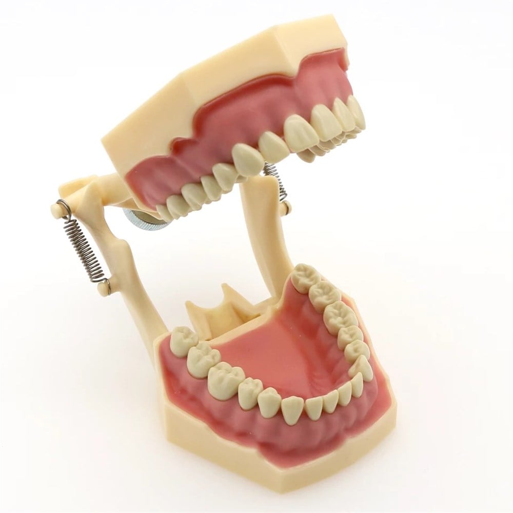 Fuji Plus 32 lik Çene