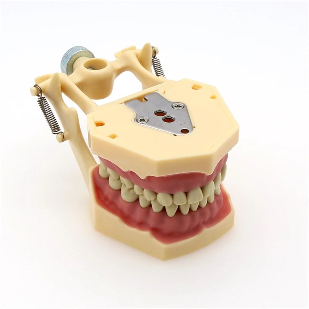 Fuji Plus 32 lik Çene