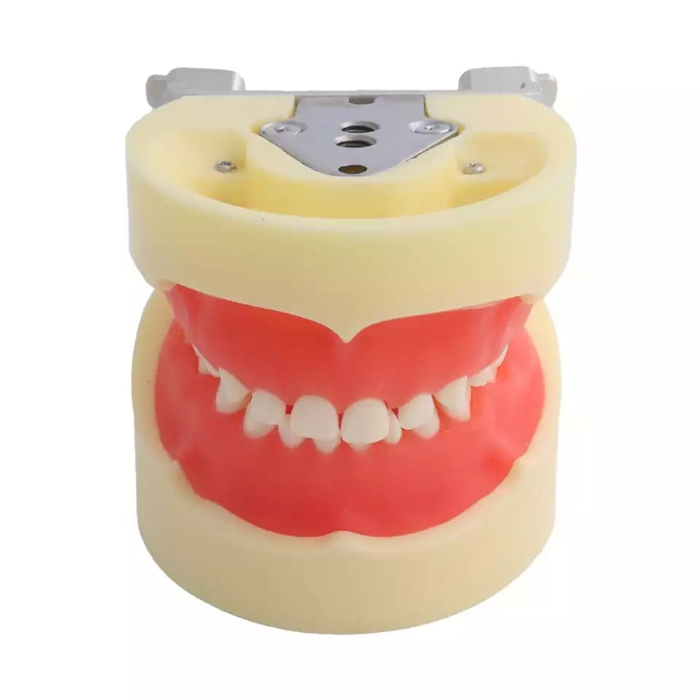 Fuji Plus Pedo Çene