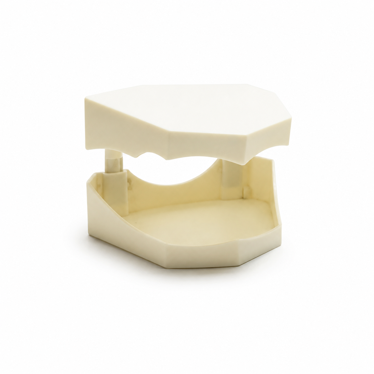 Model Base Orto Takım
