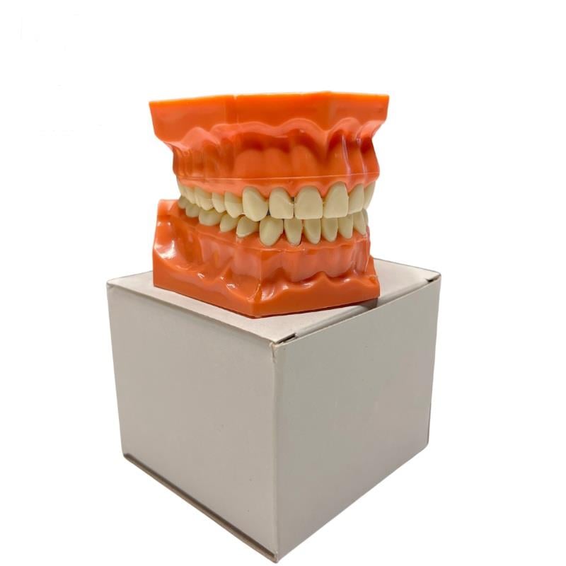 Omega Fantom Çene Sert Dişli