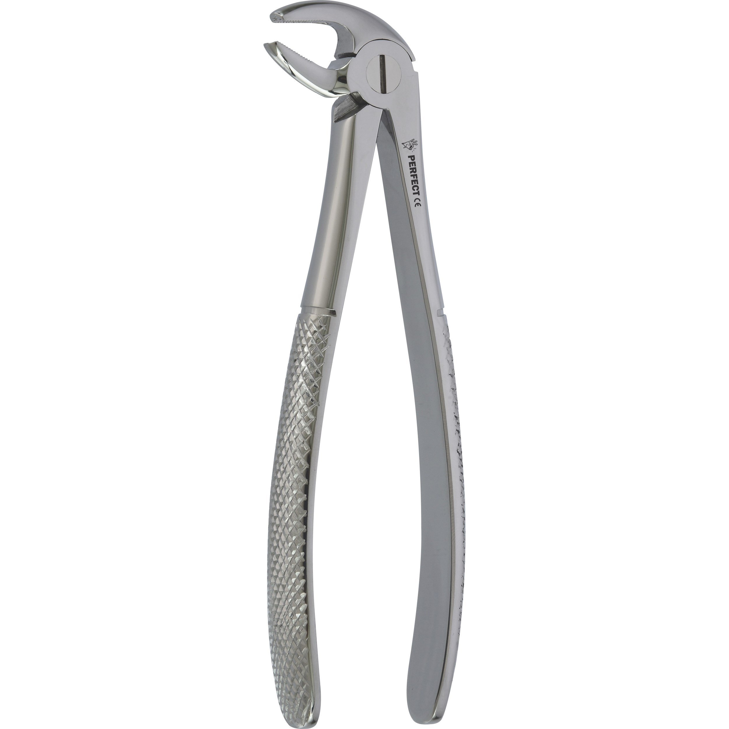 Perfect Yetişkin Davye Alt Premolar Fig 13