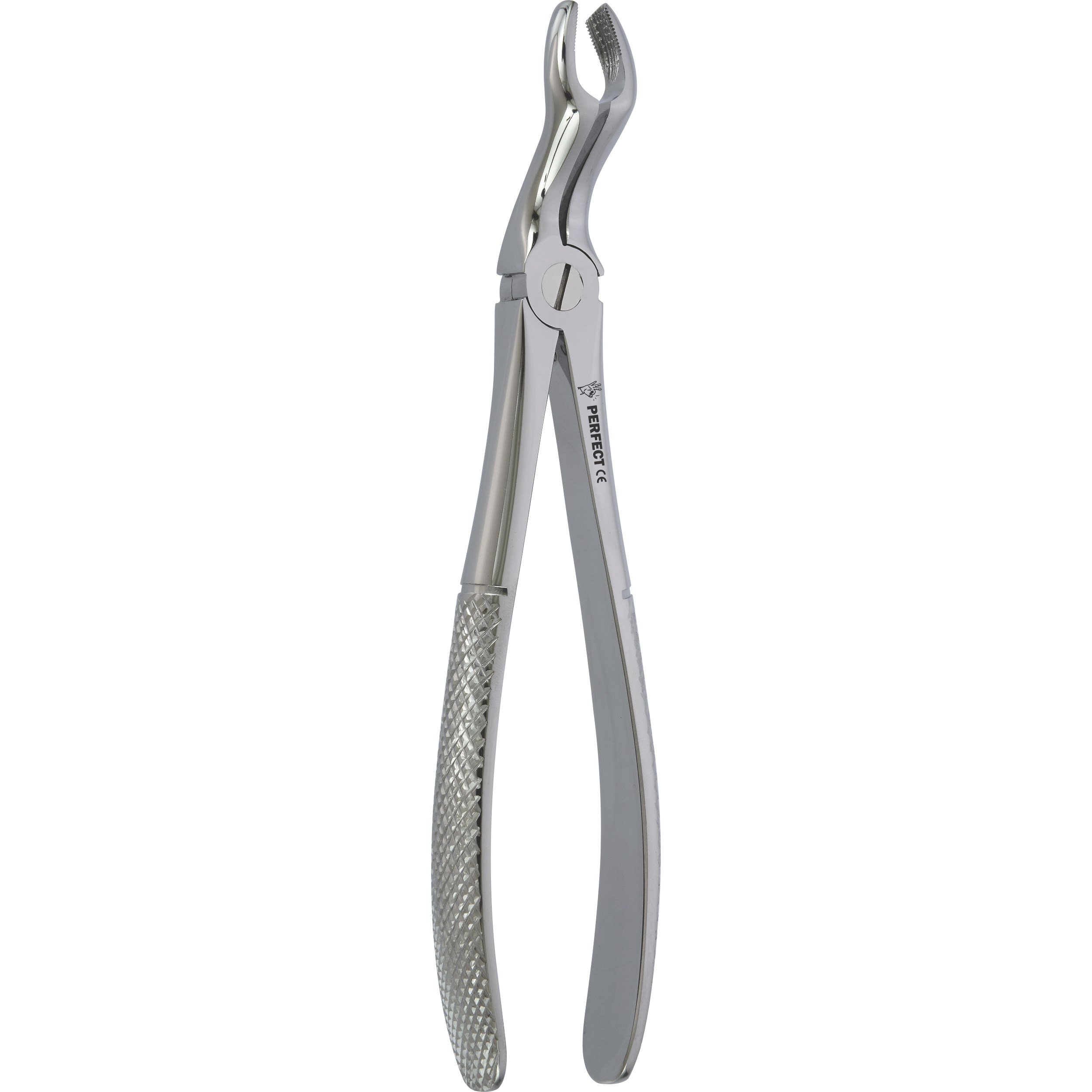 Perfect Yetişkin Davye Üst 20 Yaş Fig 67A
