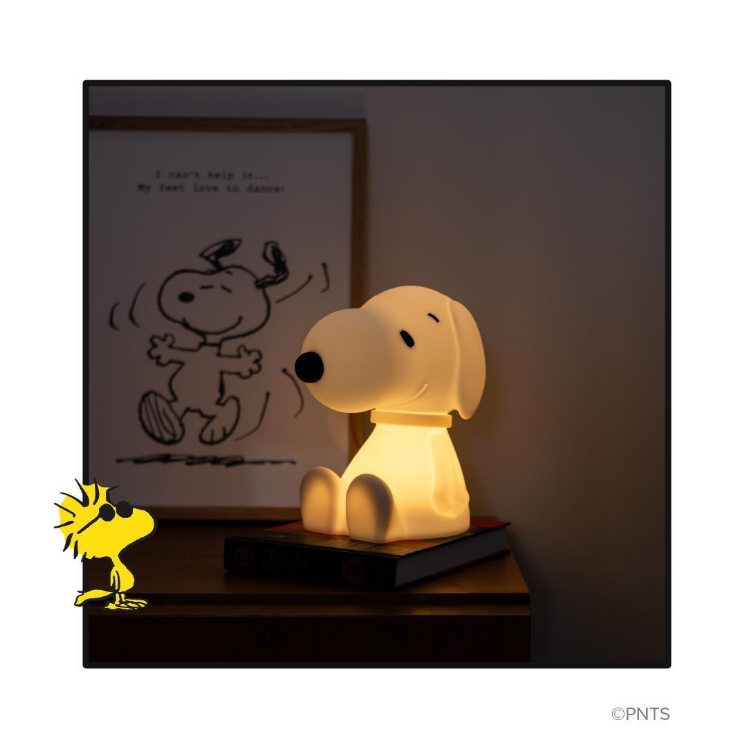 Aydınlatma, Snoopy First Light