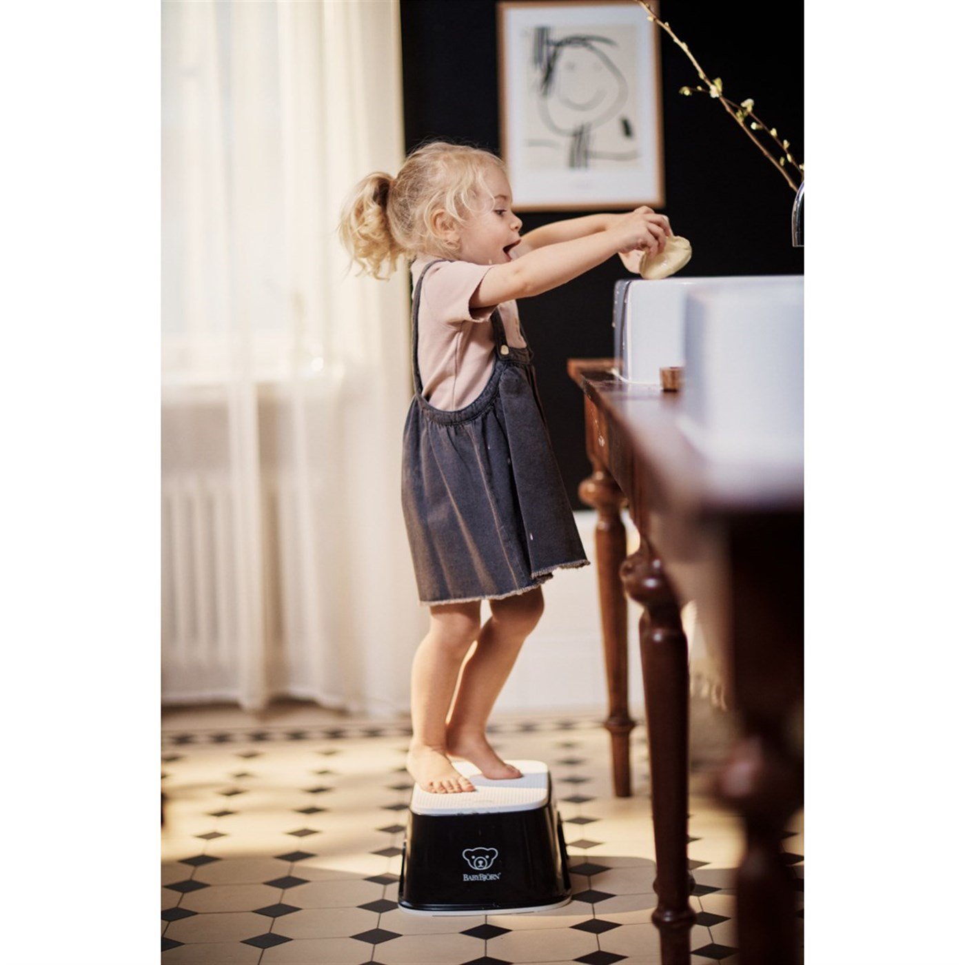 BabyBjörn Eğitici Oturak Smart Potty & Safe Step Banyo Basamağı / Black White