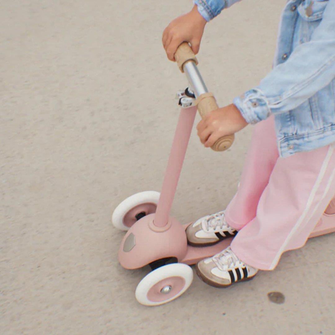 Banwood Eco Scooter- Gül Kurusu