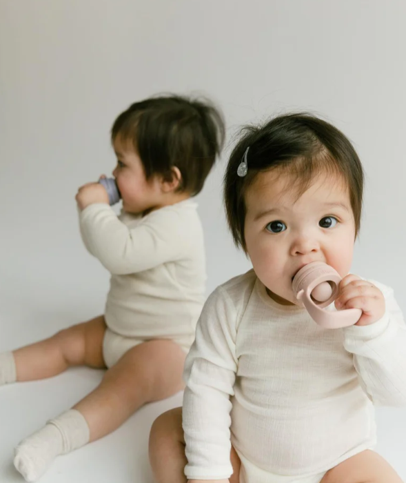 Bibs Silikon Meyve ve Sebze Filesi Blush