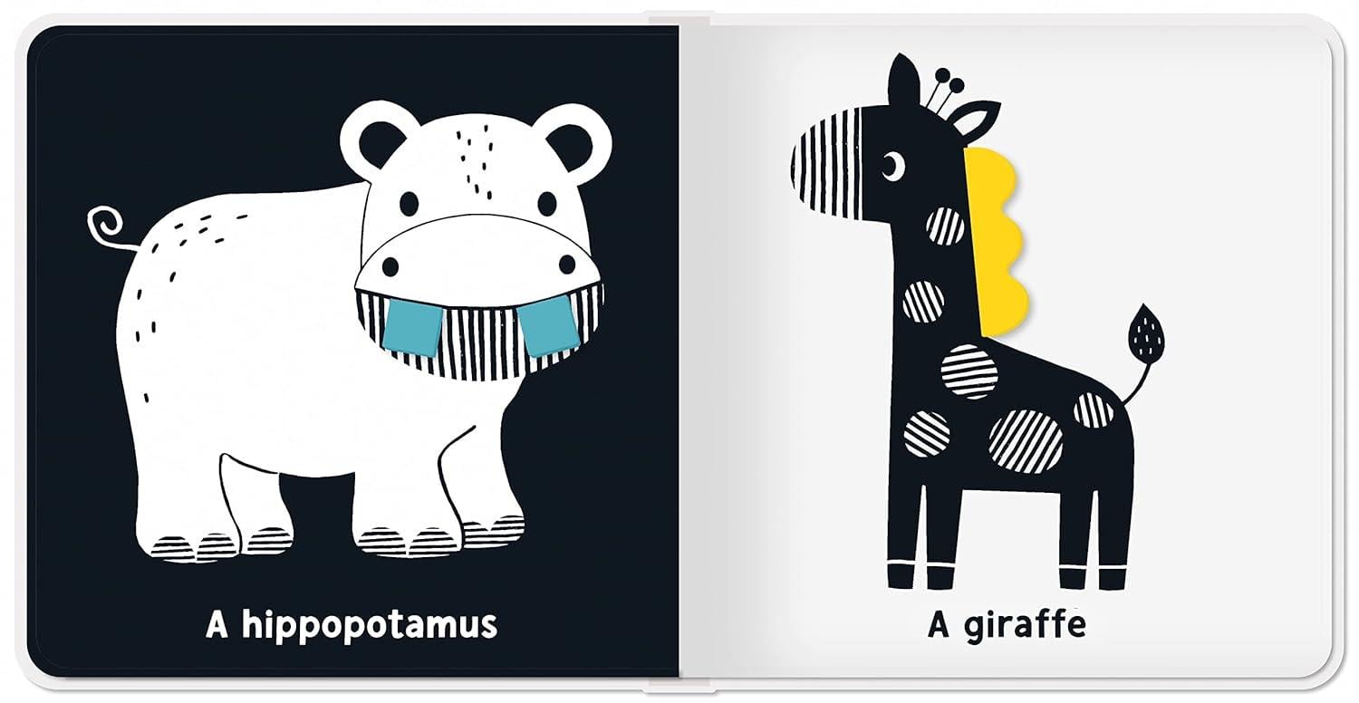 Big Animals - My First Peekaboo Book