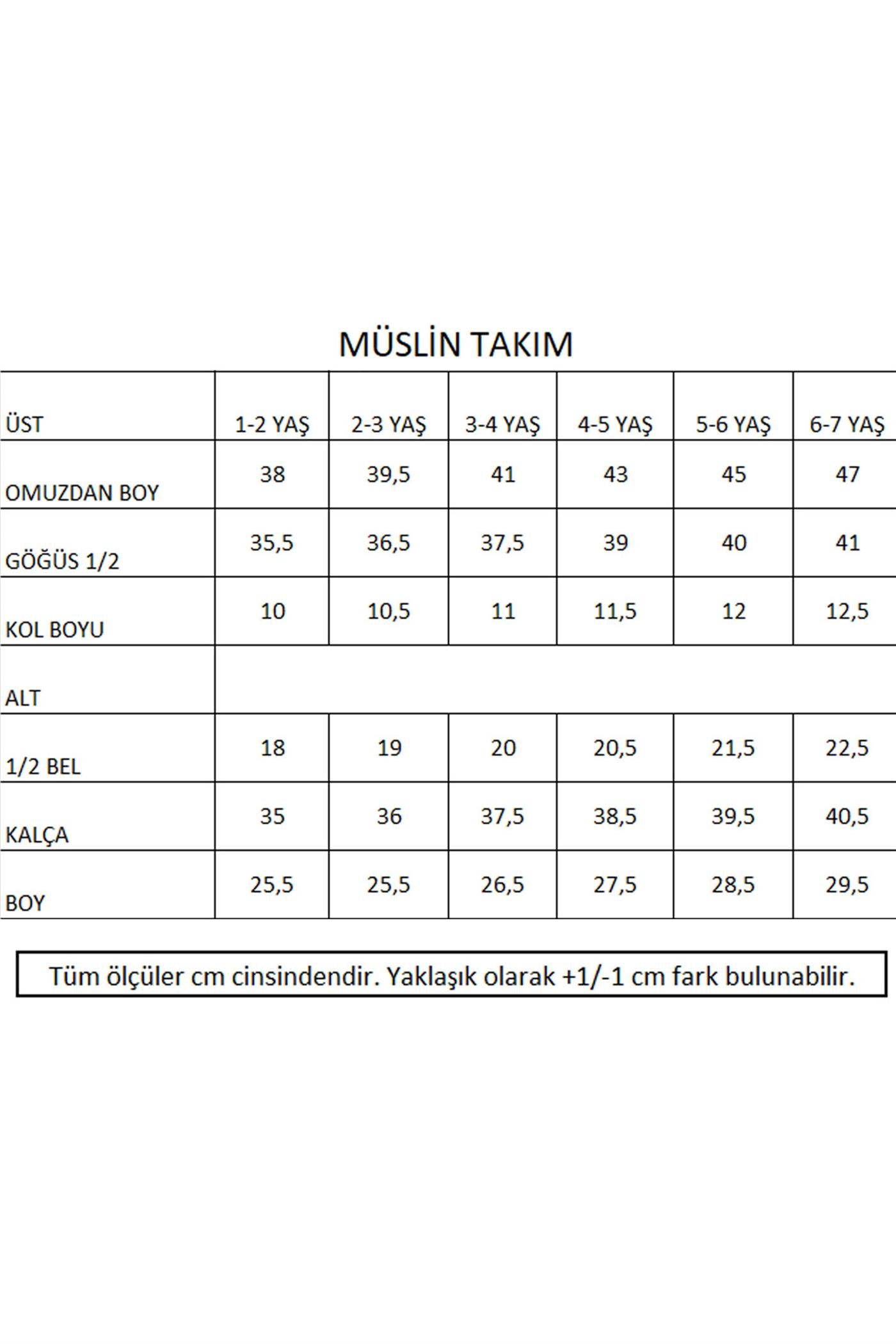 Comfy Müslin Set - Mint STD