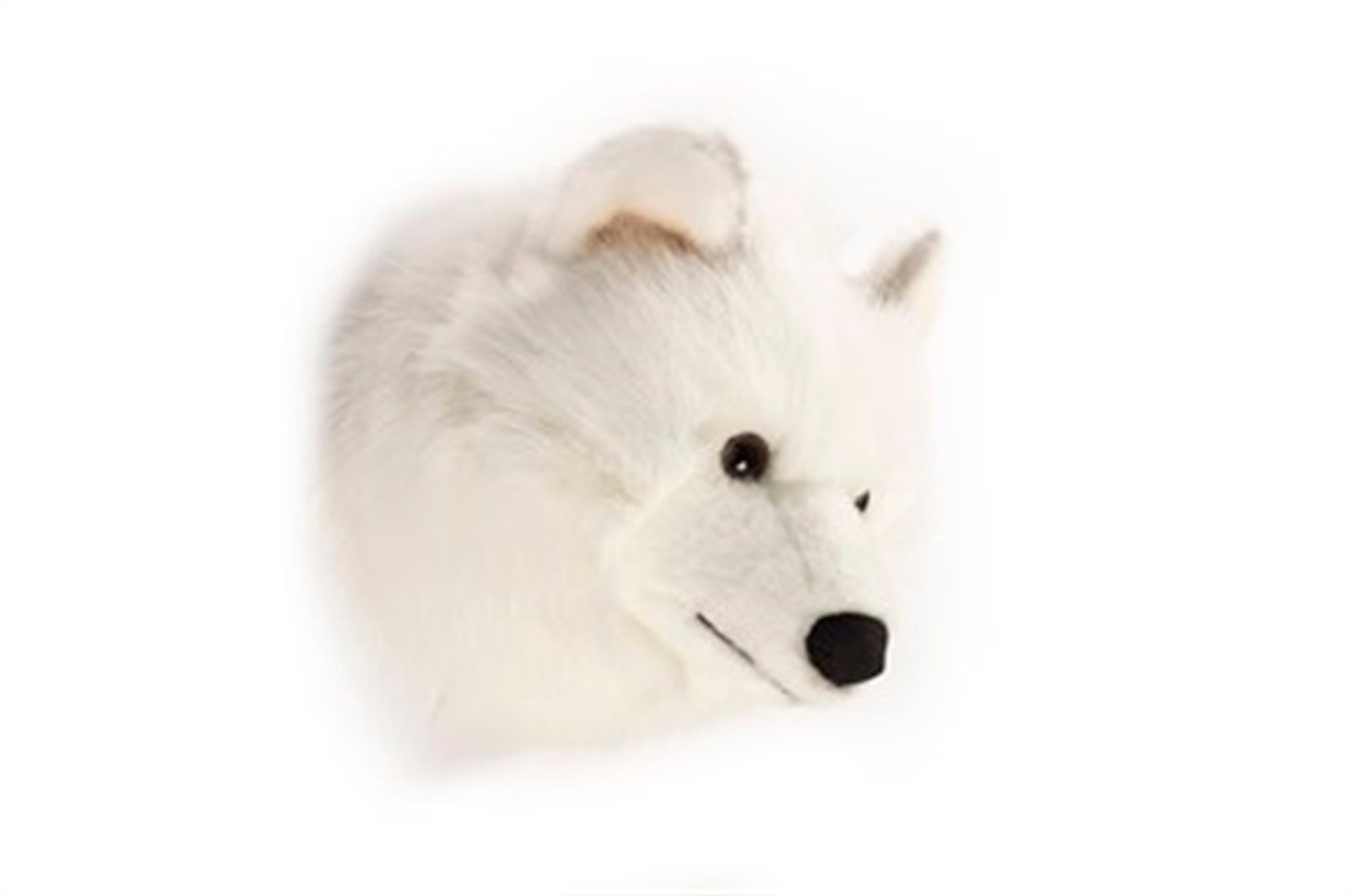 Duvar aksesuarı - Beyaz Kurt Lucy