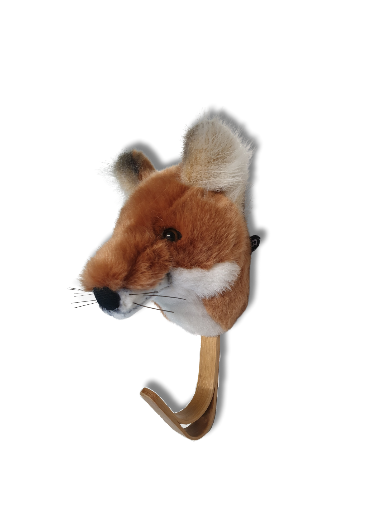 Duvar Askısı, Tilki