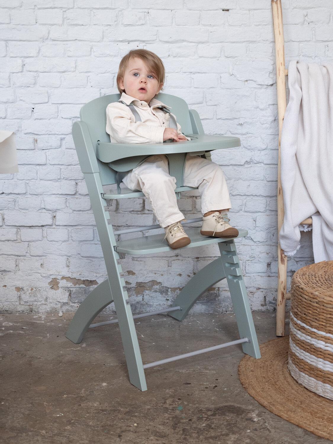 Evosit Mama Sandalyesi, Mint