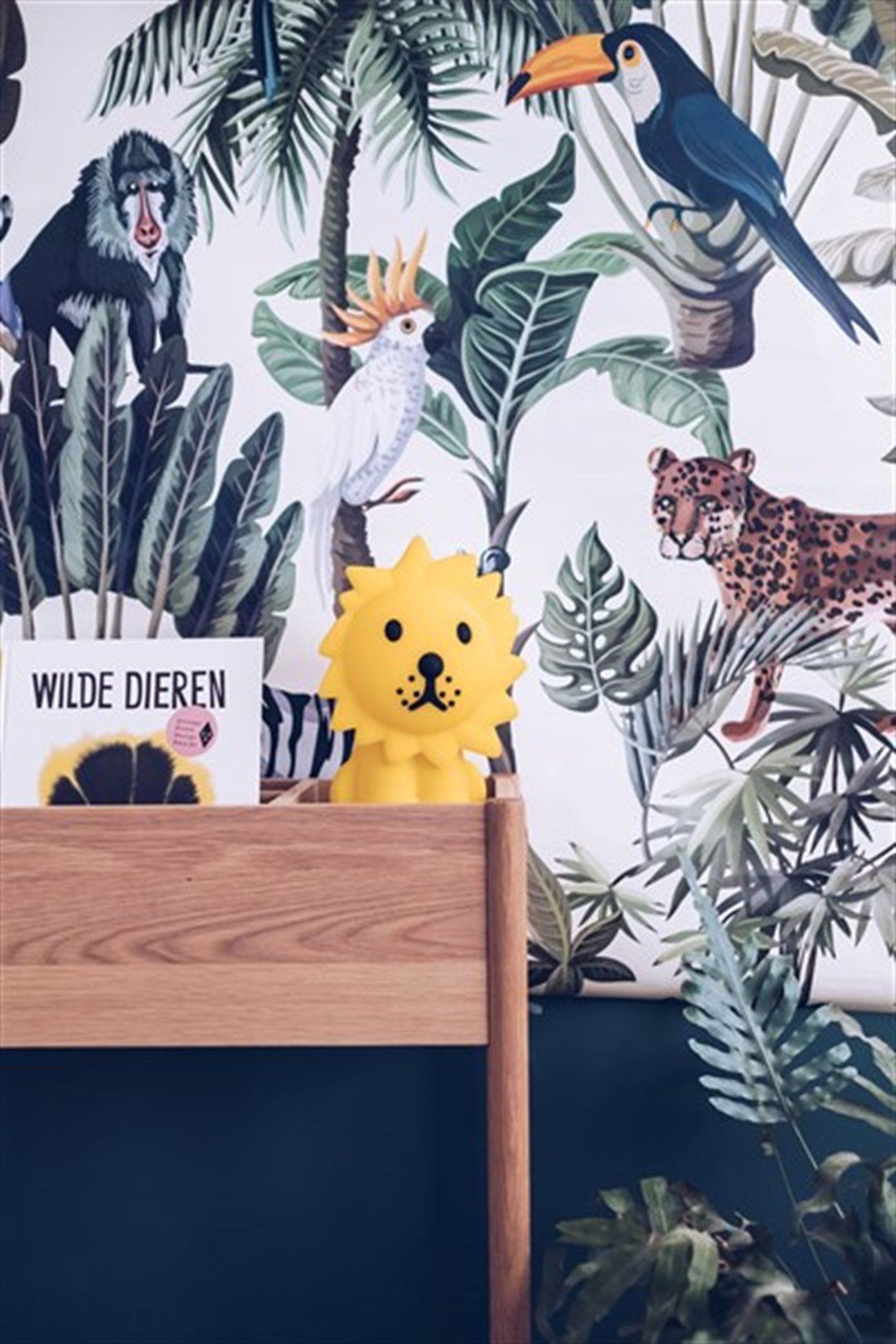 Lion Lamba First Light