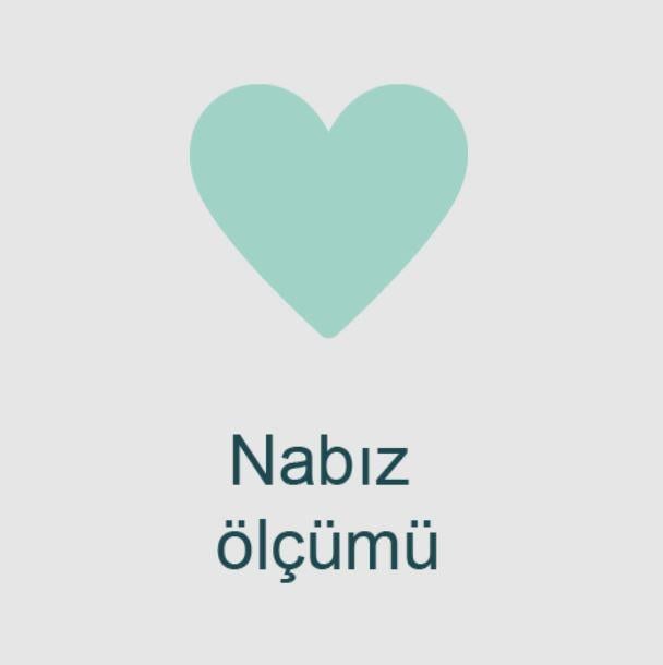 Owlet Smart Sock / Akıllı Çorap Gül Kurusu