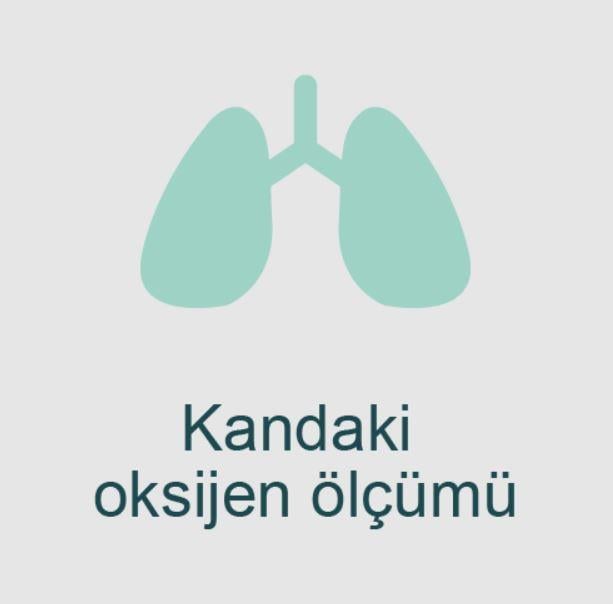 Owlet Smart Sock / Akıllı Çorap Gül Kurusu