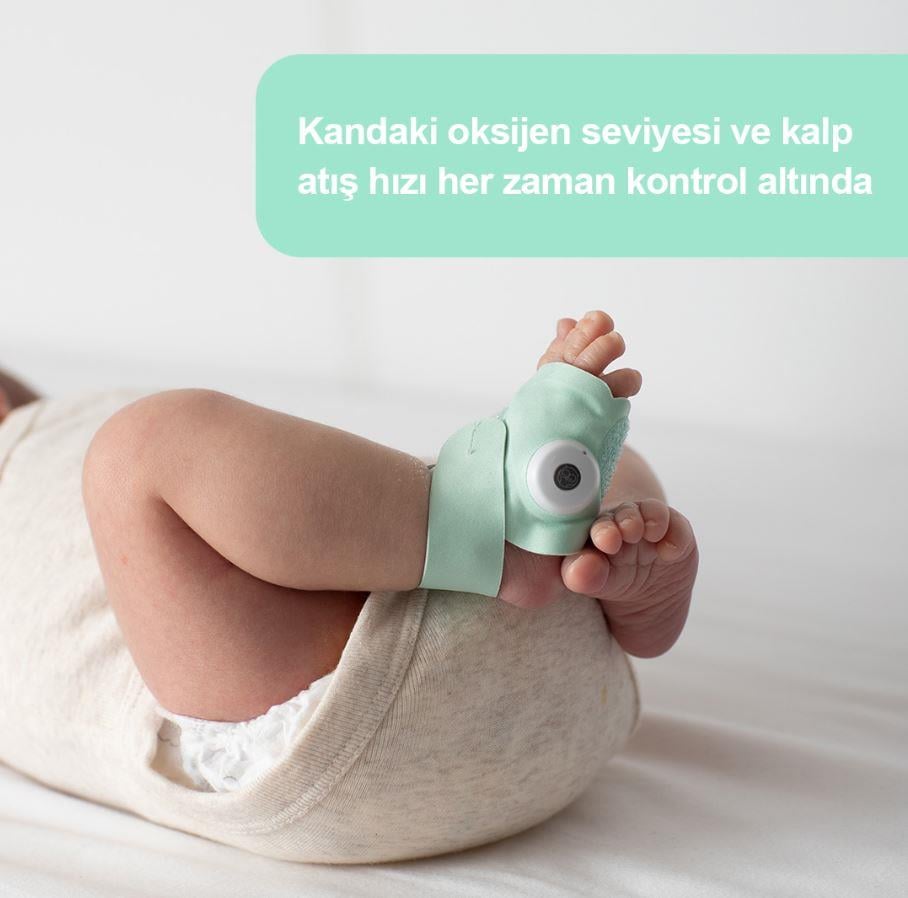 Owlet Smart Sock / Akıllı Çorap Gül Kurusu
