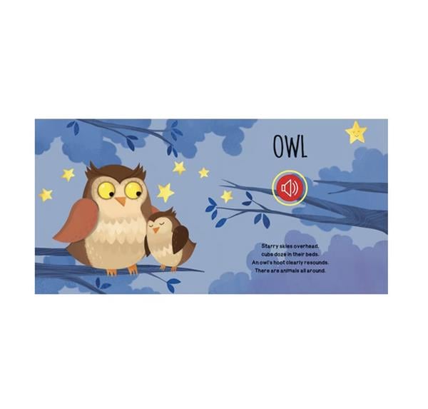 Sassi Sound Book - The Wood