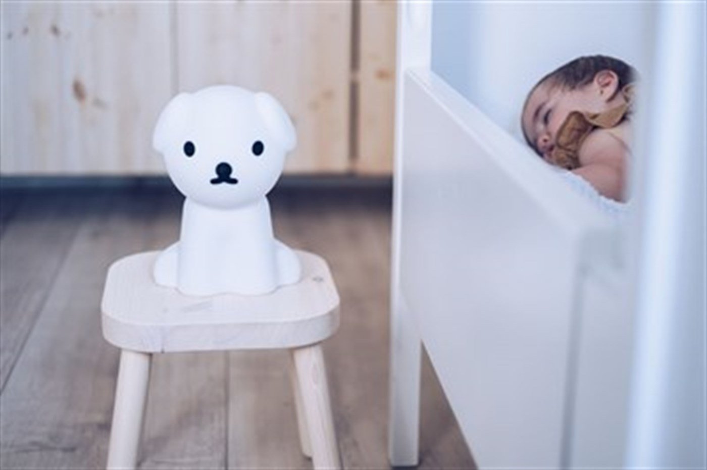 Snuffy Lamba First Light