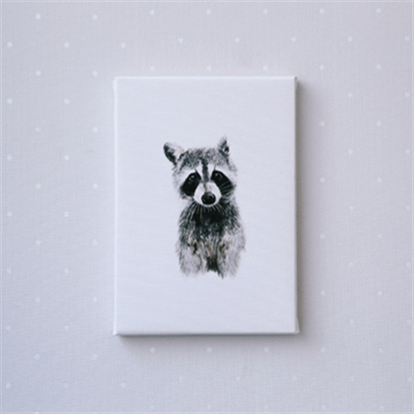 Tablo Suluboya Rakun