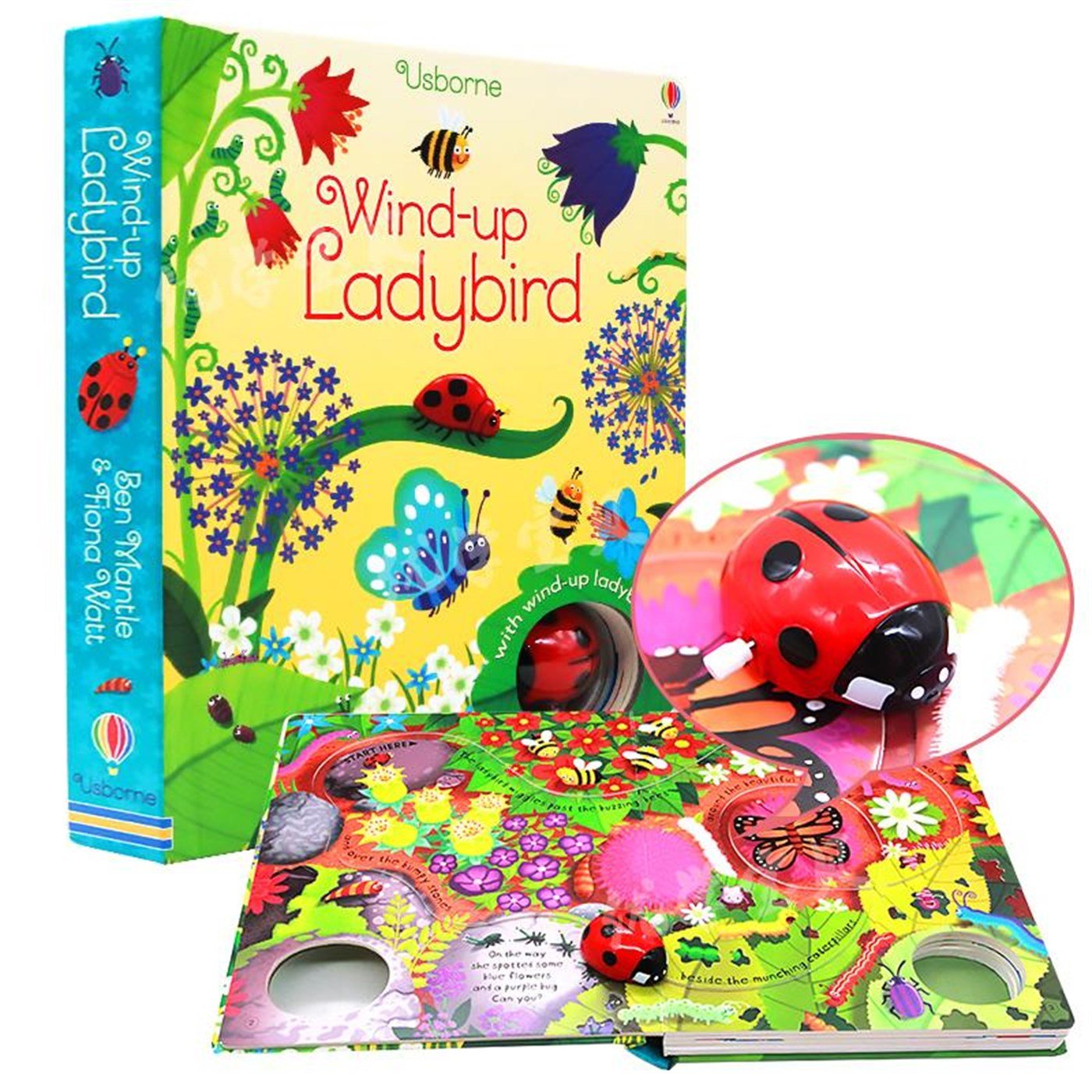 USB - Wind-Up  Ladybird