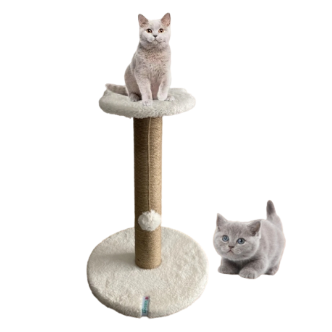 Reyo Pet Stepli Kedi Tırmalama Tahtası Beyaz