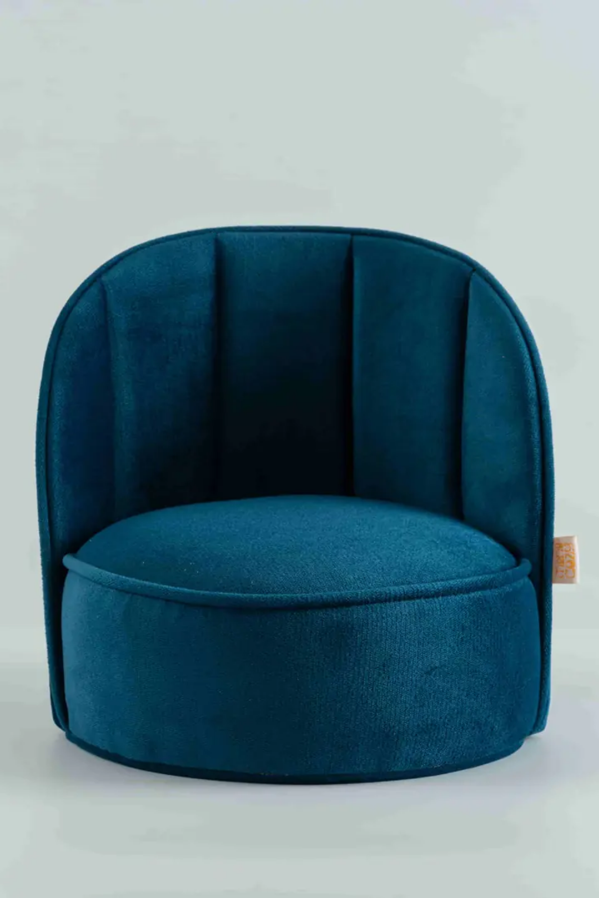 Reyo MiniCozy Titan Taşınabilir Çocuk Bebek Koltuğu, 1-5 Yaş Ergonomik Çocuk Sandalyesi, Hafif, Sıvı İtici ve Silinebilir Kumaş, Taşınabilir Sandalye