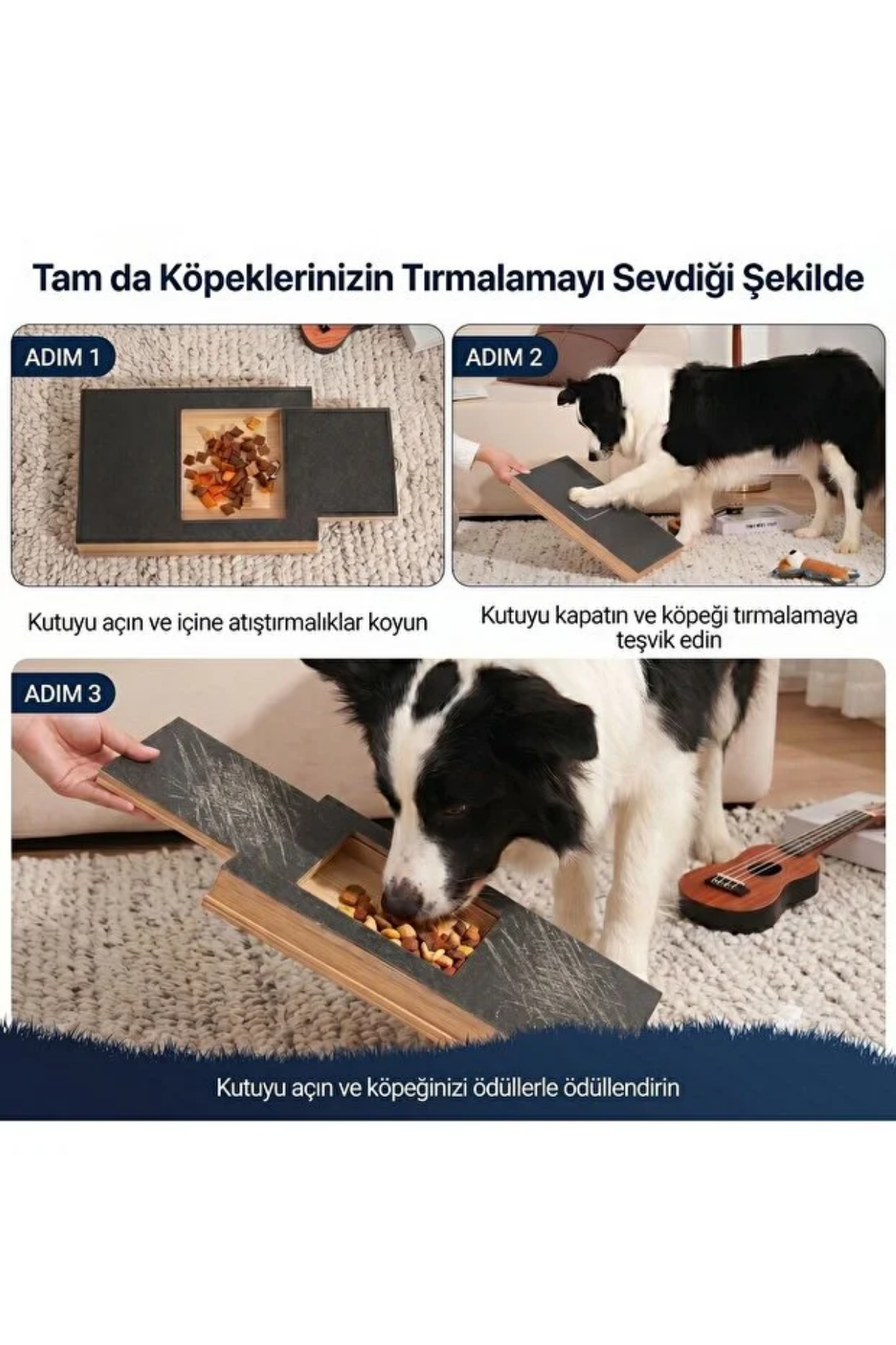 Reyo Köpekür Köpekler için Tırnak Törpüleyen Tırmalama ve Eğitim Tahtası