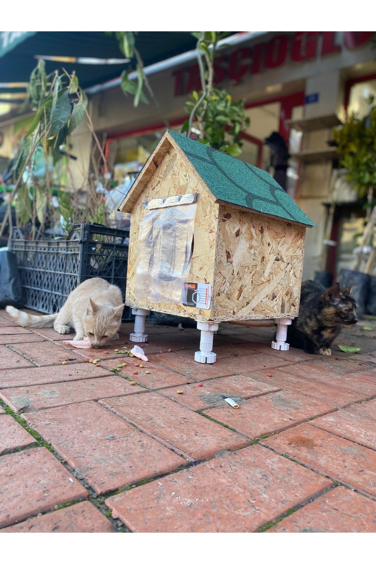 Narım Kedi Evi, Yerden Yüksek Kedi Yuvası, Su ve Isı Yalıtımı İç ve Dış Mekan Kedi Barınağı   33x38x40cm - Monteli Teslimat