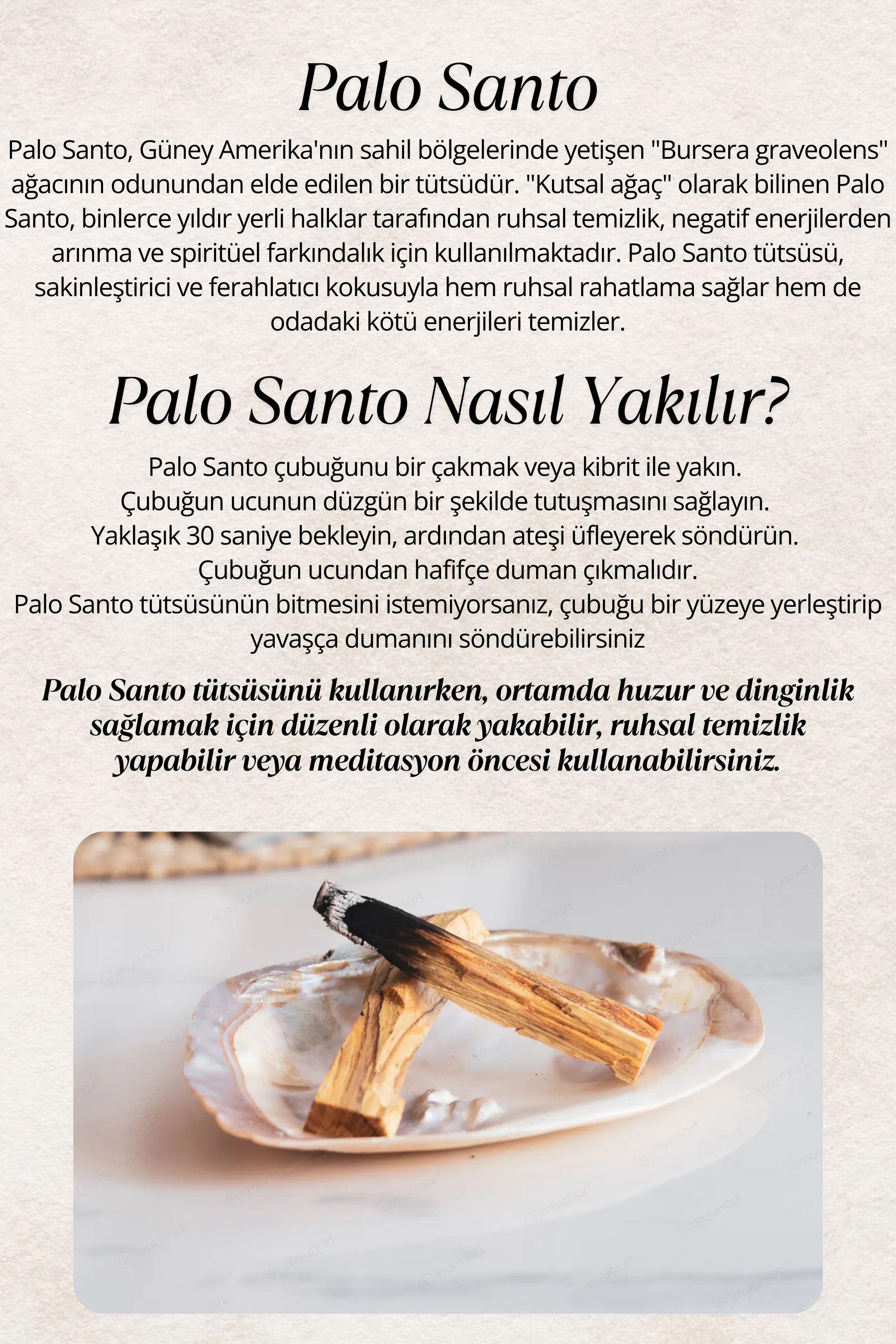 Reyo Nazar Tütsü Demeti, Deniz Kabuğu, Palo Santo, Aromaterapi Mum Arınma 4'lü Ritüel Set 
