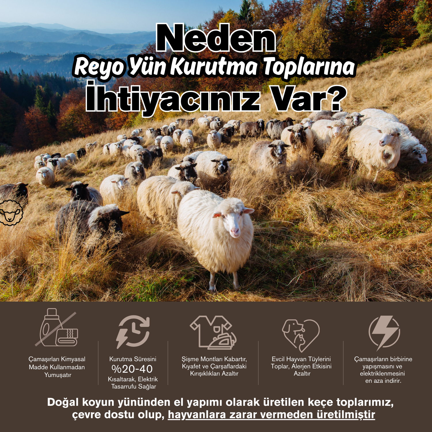 Reyo %100 Saf Yün Kurutma Makinesi Topu 6'lı Set - L Boy Kahverengi - Kimyasalsız Doğal Yumuşatıcı ve Antistatik Etki