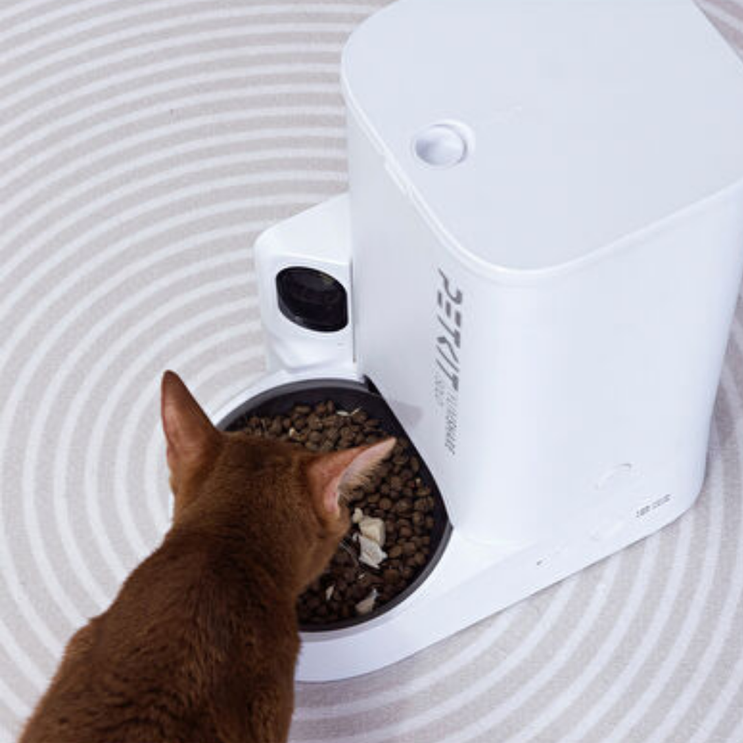 Petkit Yumshare Solo Kameralı Akıllı Mama Kabı