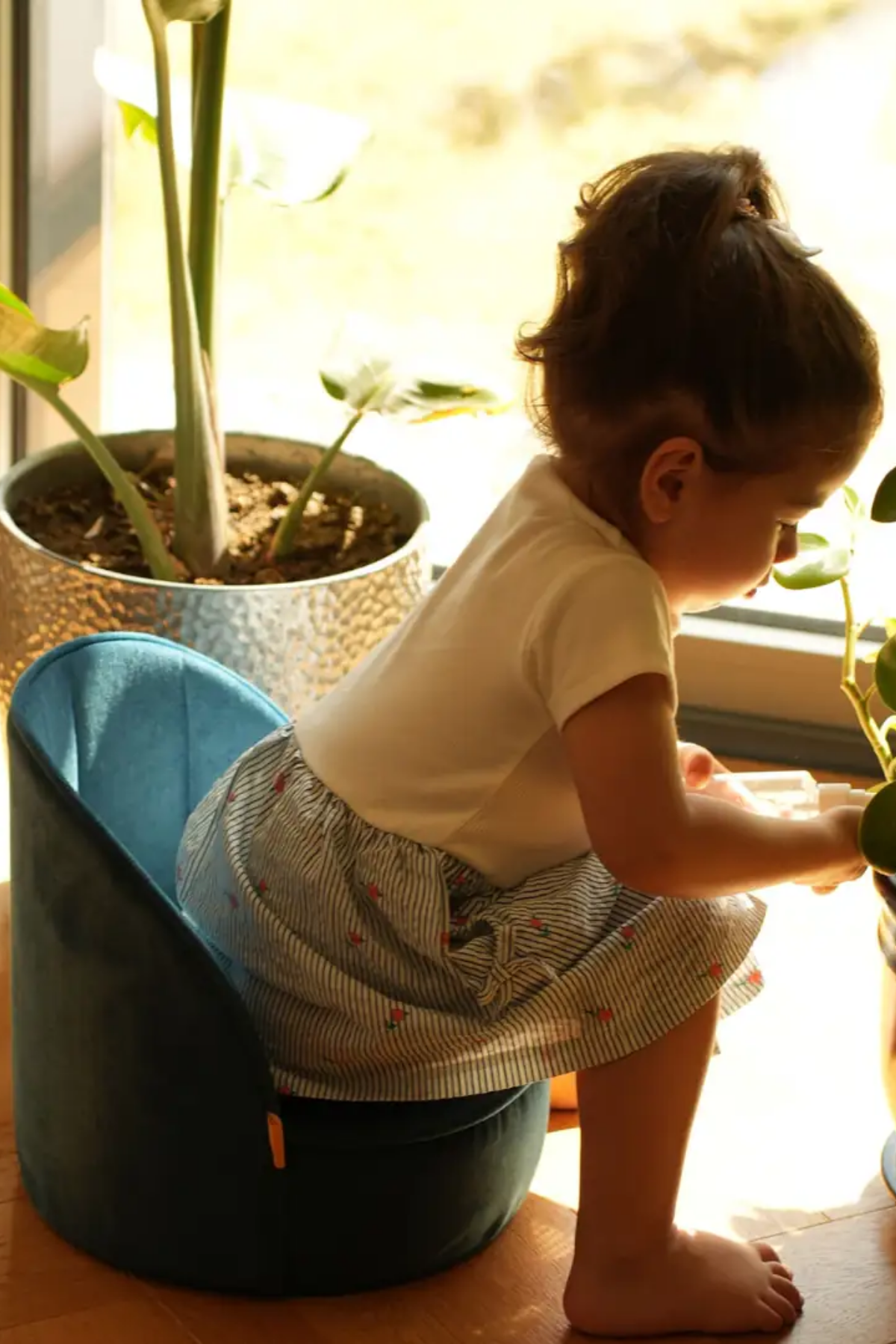 Reyo MiniCozy Titan Taşınabilir Çocuk Bebek Koltuğu, 1-5 Yaş Ergonomik Çocuk Sandalyesi, Hafif, Sıvı İtici ve Silinebilir Kumaş, Taşınabilir Sandalye