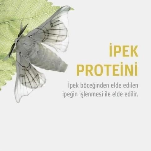 Therasilk Ipek Proteinli Kolajenli Şampuan Saç Dökülmesine Karşı Onarıcı Besleyici Kepeğe Karşı 400 ml