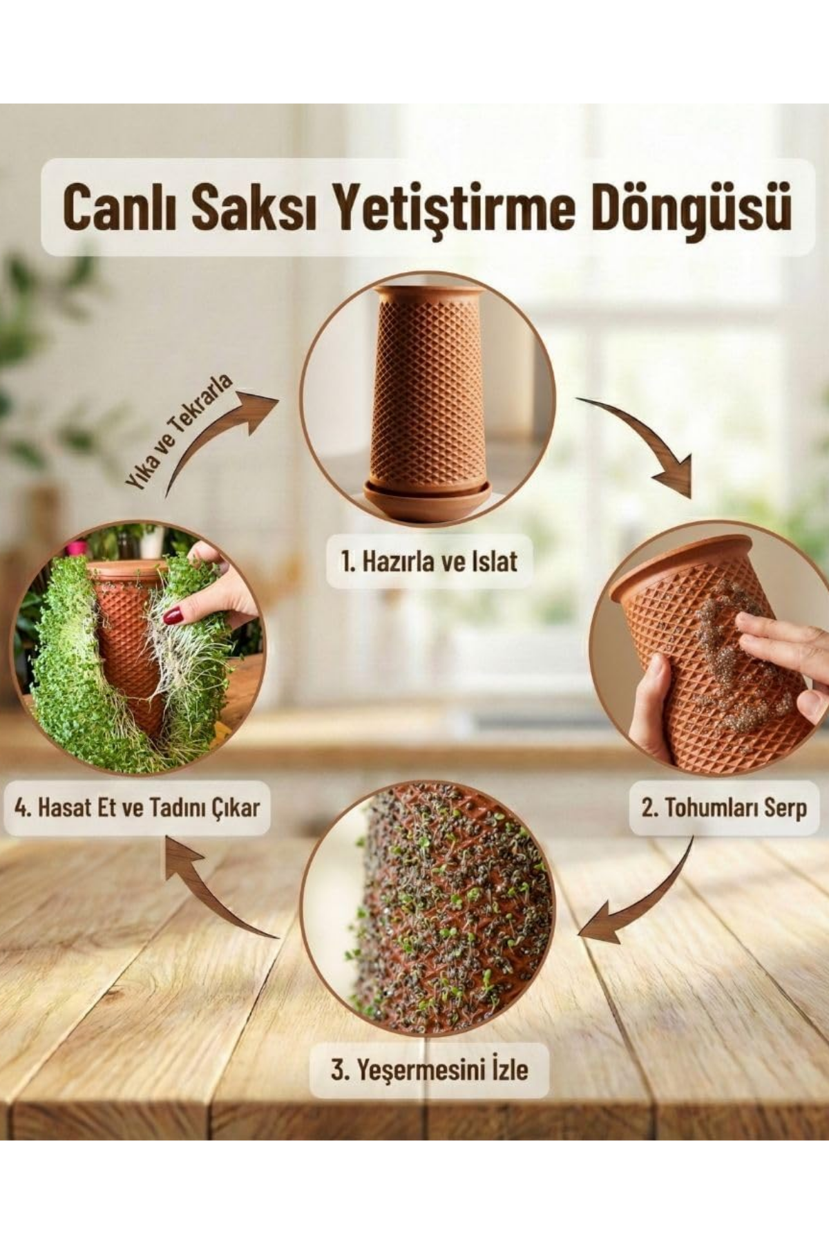Reyo Canlı Saksı | Hidroponik El Yapımı Topraksız Saksı