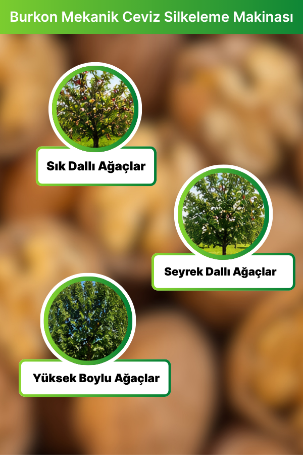 Burkon Mekanik Ceviz Silkeleme Makinası