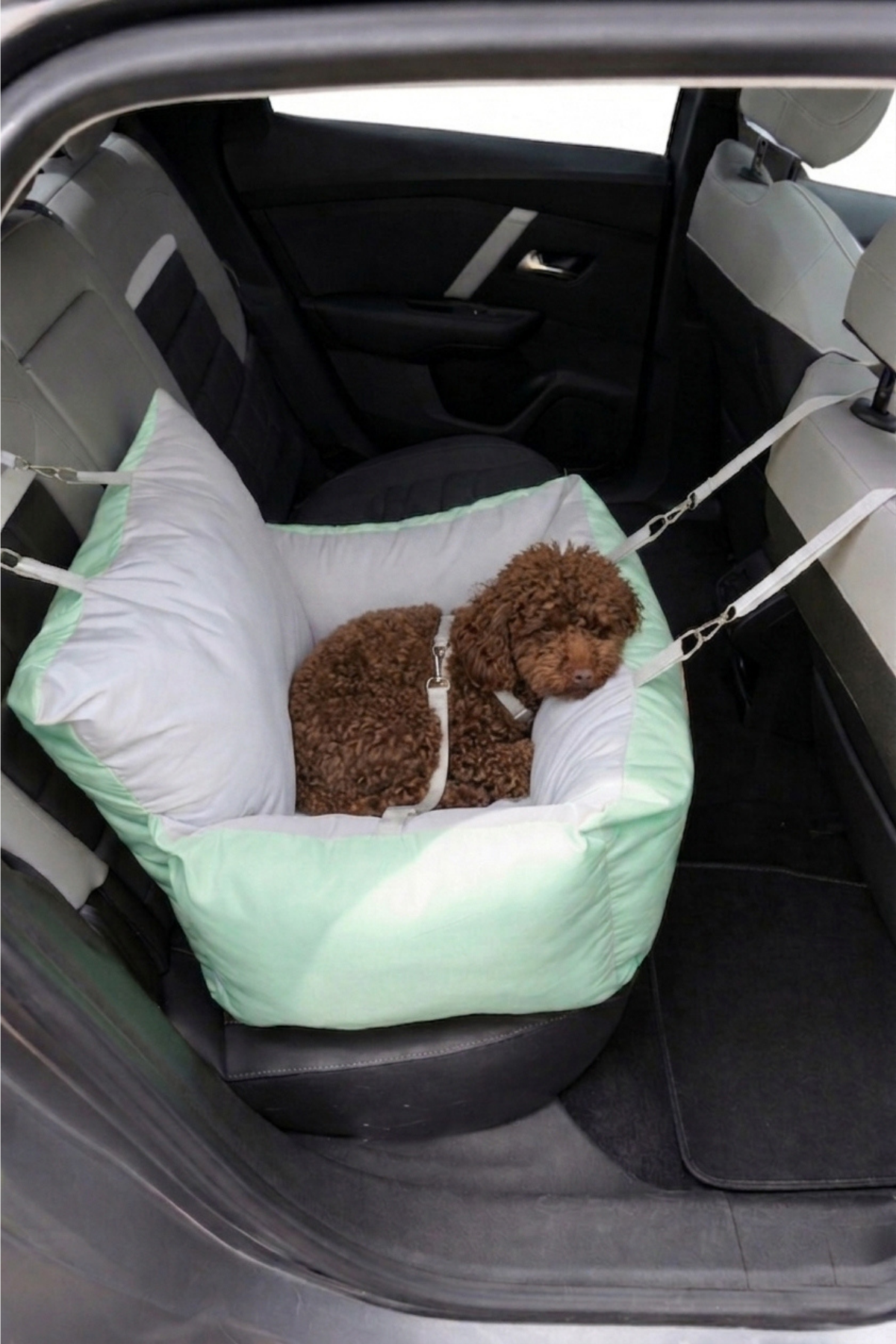 Reyo Max Design Maxie Comfort Drive Araba Koltuğu ve Köpek Yatağı Mint – Evcil Hayvan Araç İçi Güvenli Taşıma Koltuğu, Konforlu Seyahat Yatağı