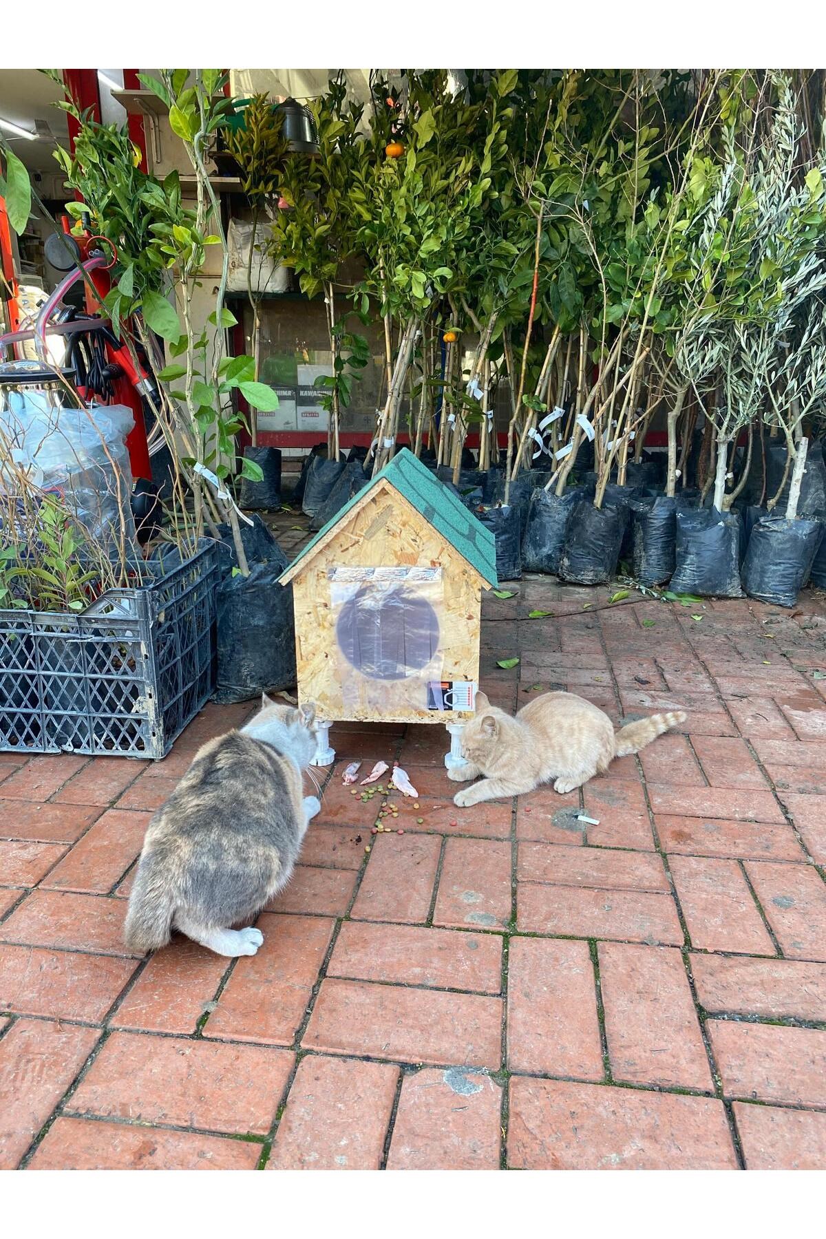 Narım Kedi Evi, Yerden Yüksek Kedi Yuvası, Su ve Isı Yalıtımı İç ve Dış Mekan Kedi Barınağı   33x38x40cm - Monteli Teslimat