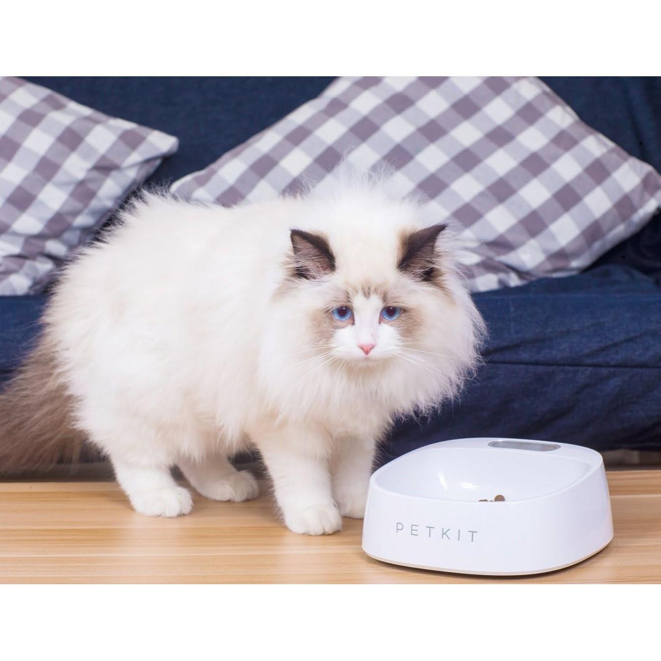 Petkit Fresh Antibakteriyel Akıllı Mama Kabı Beyaz