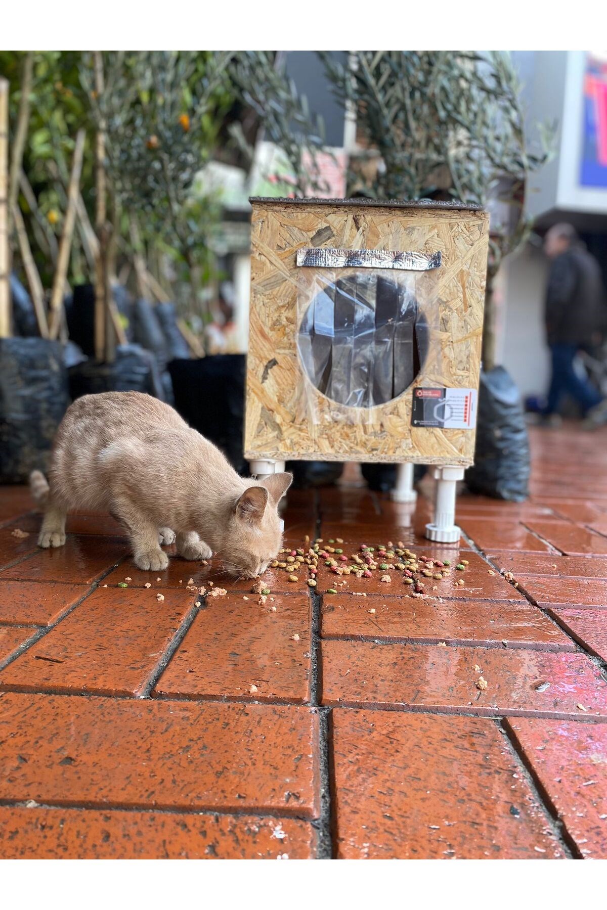 Narım Dış & Iç Mekan Ahşap Kedi Yuvası, Kedi Barınağı 35x40x35