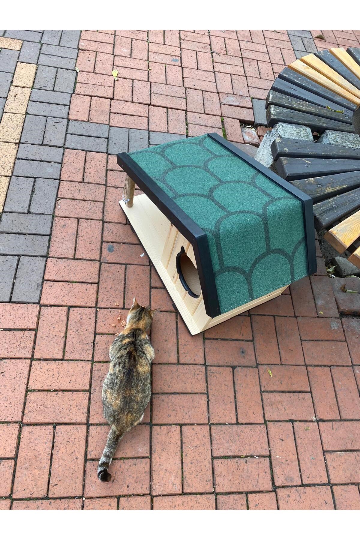Narım Ahşap Mama Standlı Tırmalama Tahtalı Özel Tasarım Kedi Barınağı, Kedi Barınağı 74x45 cm
