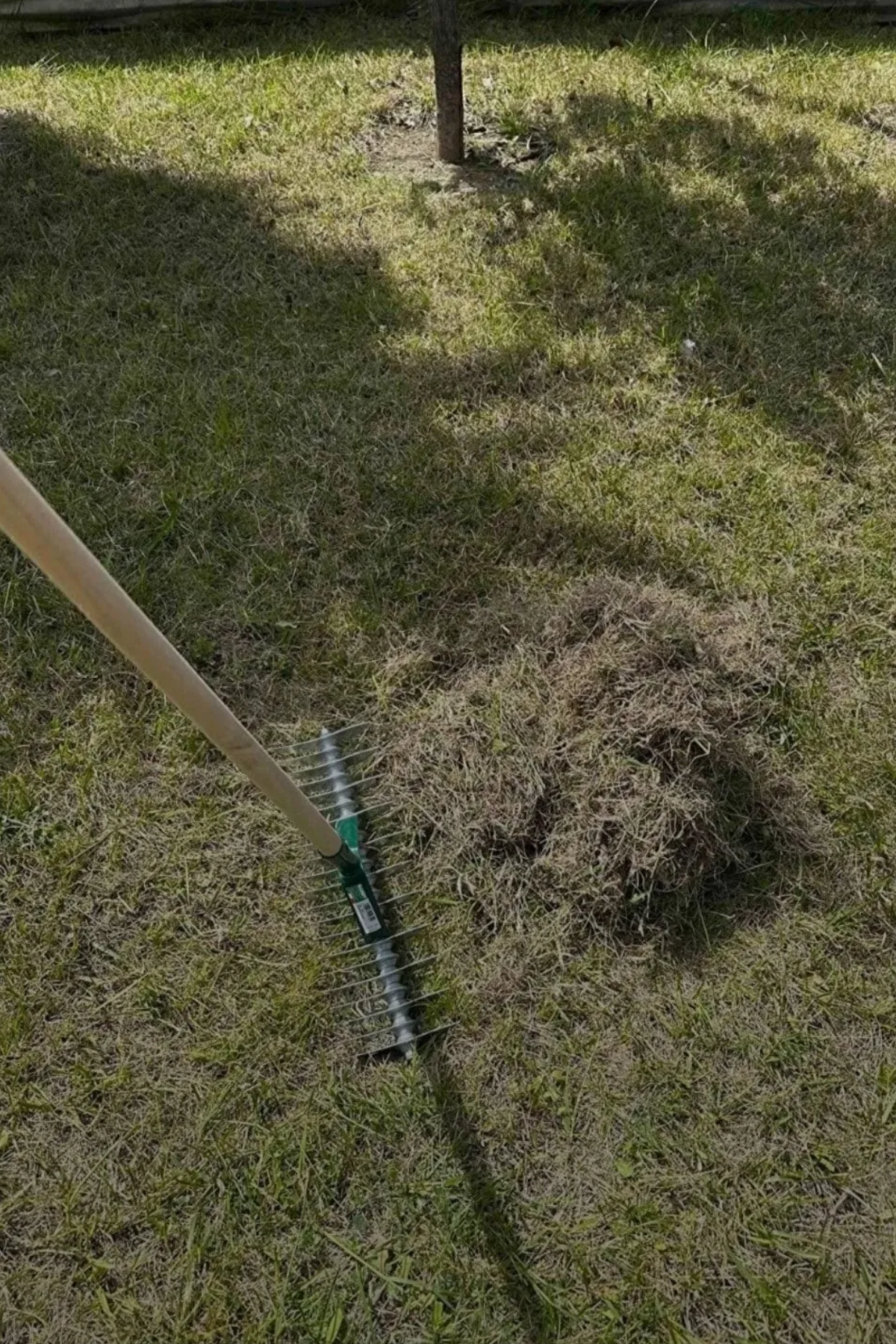 Handy 4232 Çim Kök Havalandırma Tırmığı Vertikat