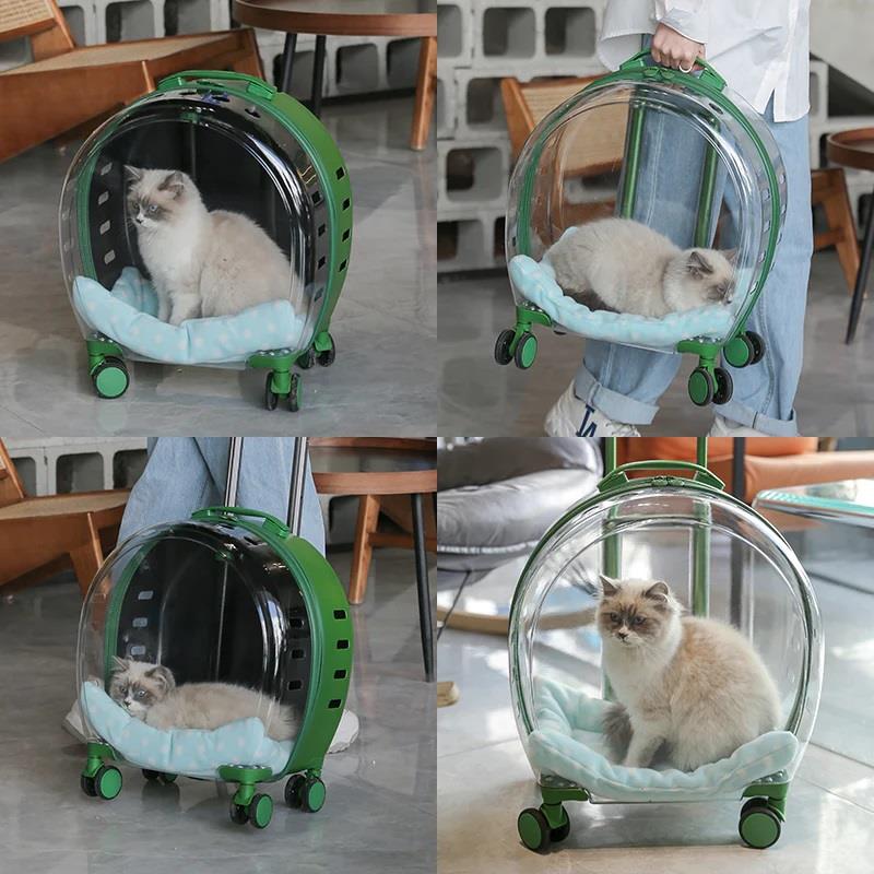 Reyo Pet Kedi Köpek Bavulu Şeffaf Pencere Geniş Görüş Seyahat Tekerlekli Çanta
