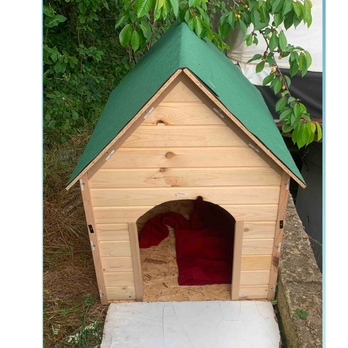 Reyo Pet Suya Soğuğa Dayanıklı Lüks Büyük Boy Ahşap Köpek Kulubesi Sokak Köpek Evi Yeşil Çatılı 100x100x78 cm
