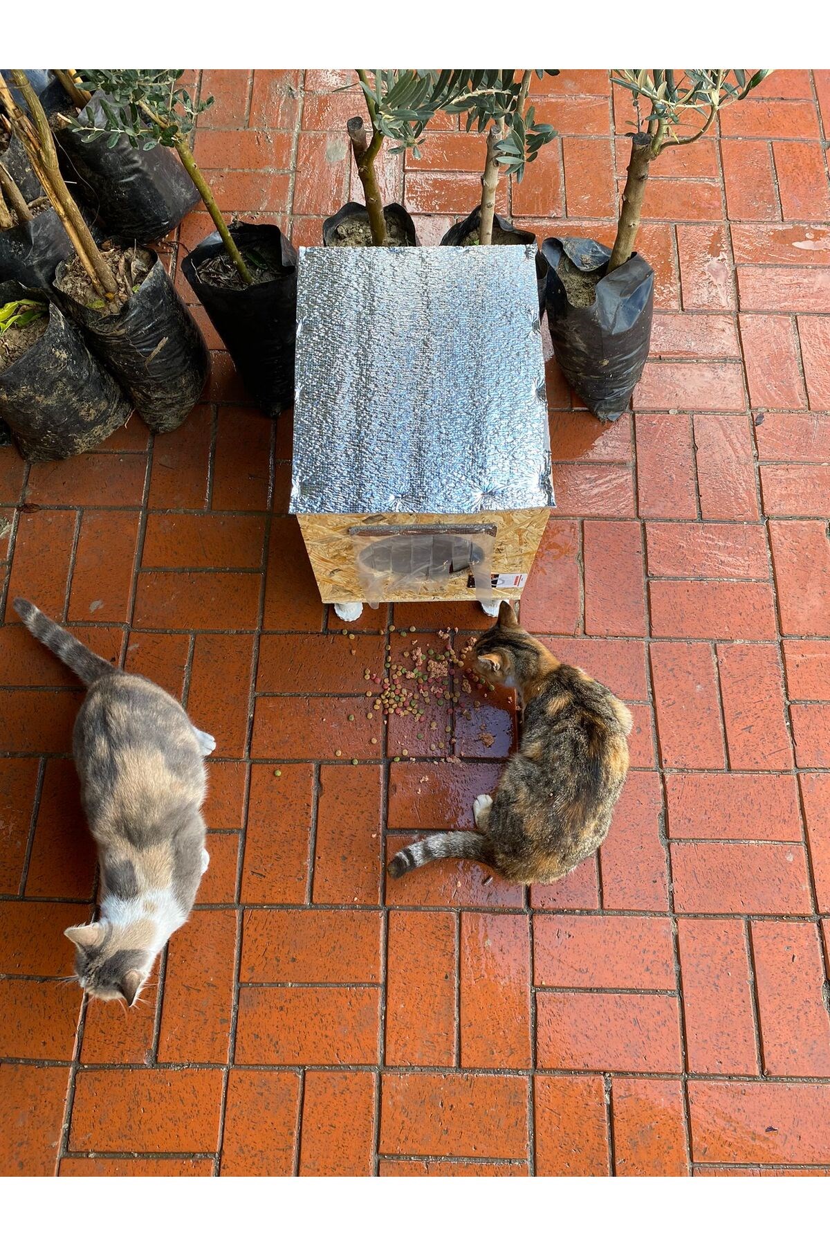 Narım Dış & Iç Mekan Ahşap Kedi Yuvası, Kedi Barınağı 35x40x35