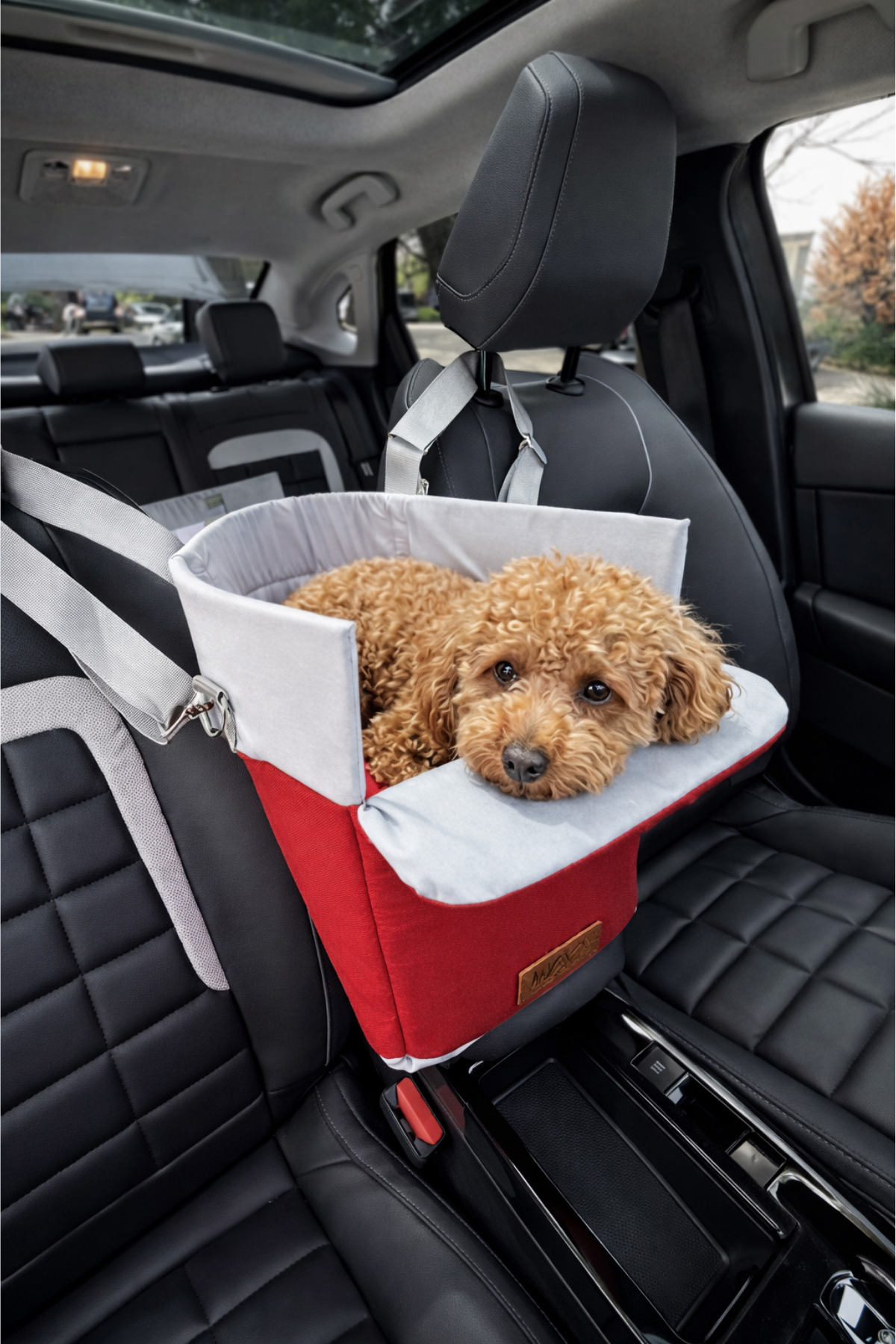 Reyo Max Design Kedi Köpek Taşıma Çantası Kırmızı – Seyahat için Hafif ve Hava Alabilen Evcil Hayvan Çantası