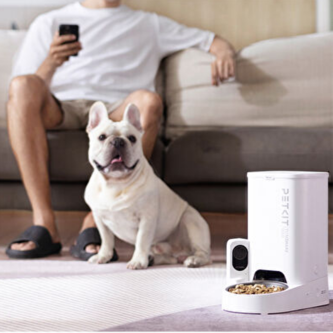 Petkit Yumshare Solo Kameralı Akıllı Mama Kabı