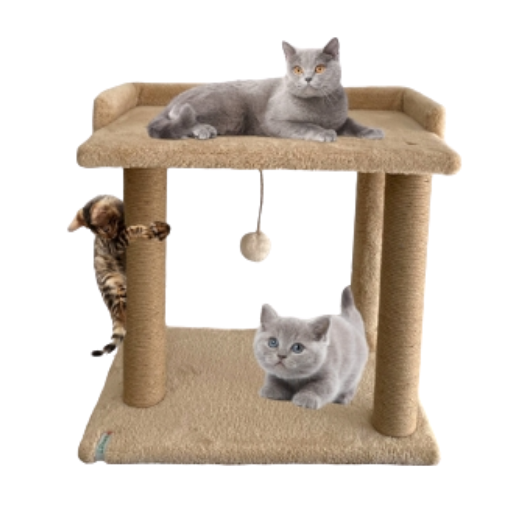 Reyo Pet Teraslı Yataklı Ponponlu Kedi Tırmalaması Bej