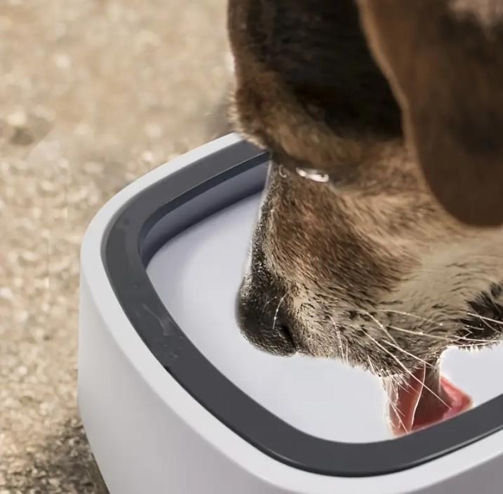 Puffy Paw Yeni Nesil Kedi & Köpekler için Sıçramaya Karşı Korunan Su Kabı Siyah