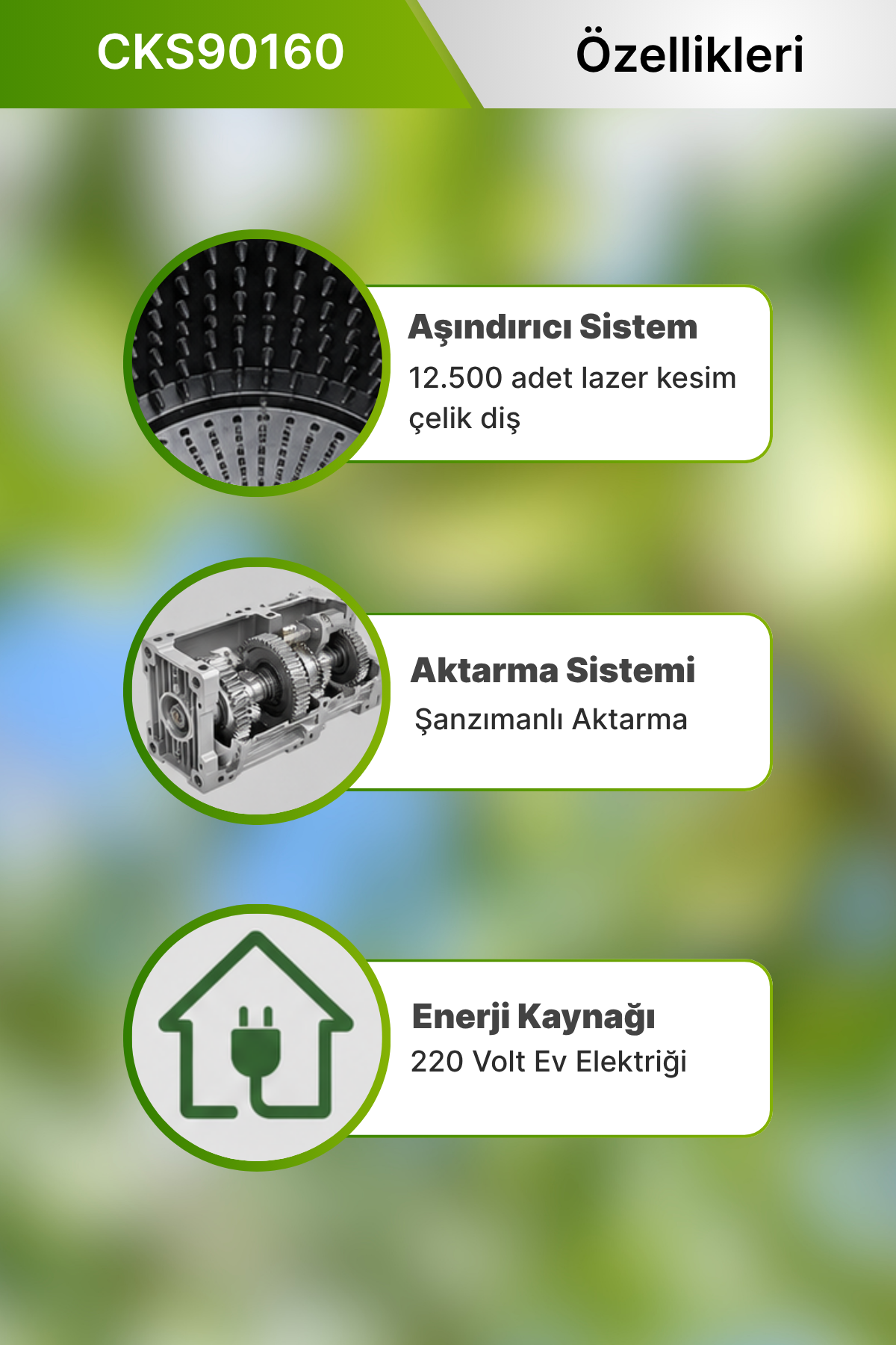 Kadıoğlu Cks90160 Standart Devirli Ceviz Soyma Makinası 170 Litre