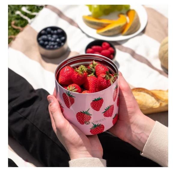 Les Artistes Paris Isı Yalıtımlı Çelik Yemek Termosu 700ML Strawberry